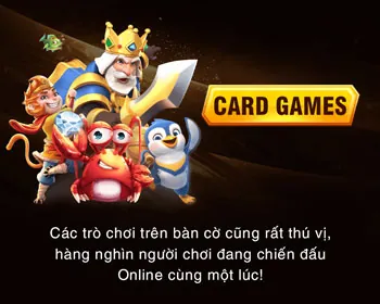 Cá cược trực tiếp và phân tích trận đấu